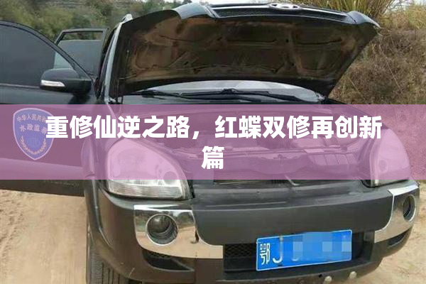 重修仙逆之路，红蝶双修再创新篇