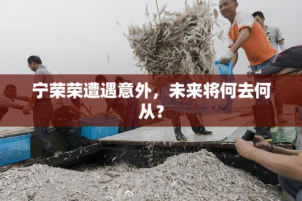 宁荣荣遭遇意外，未来将何去何从？