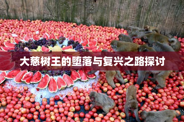 大慈树王的堕落与复兴之路探讨