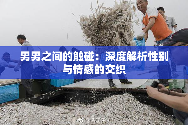 男男之间的触碰：深度解析性别与情感的交织