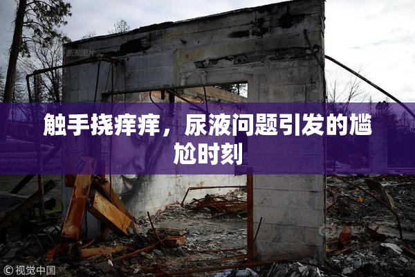 触手挠痒痒，尿液问题引发的尴尬时刻
