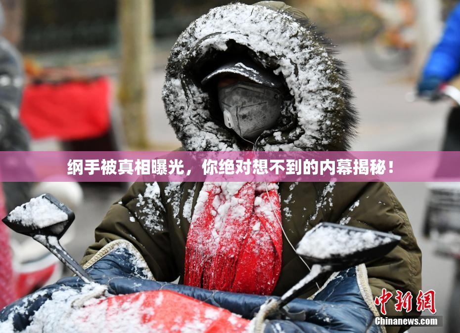 纲手被真相曝光，你绝对想不到的内幕揭秘！