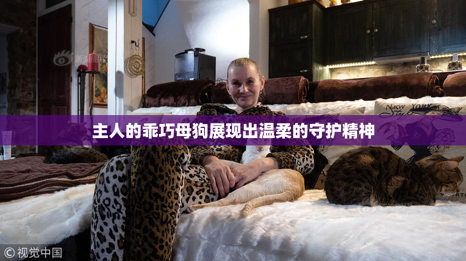 主人的乖巧母狗展现出温柔的守护精神