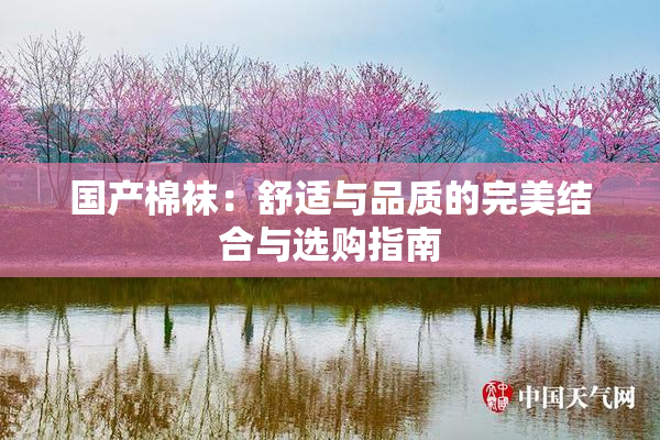 国产棉袜：舒适与品质的完美结合与选购指南