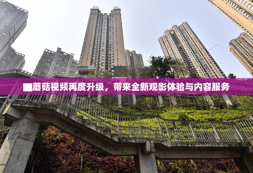 ▇蘑菇视频再度升级，带来全新观影体验与内容服务