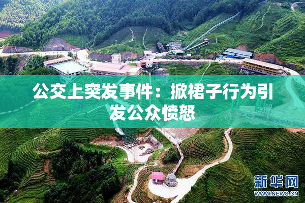 公交上突发事件：掀裙子行为引发公众愤怒