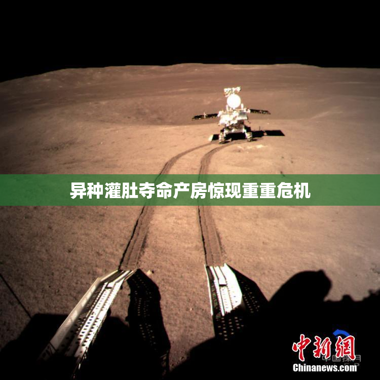 异种灌肚夺命产房惊现重重危机