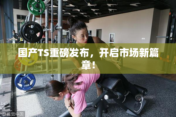 国产TS重磅发布，开启市场新篇章！