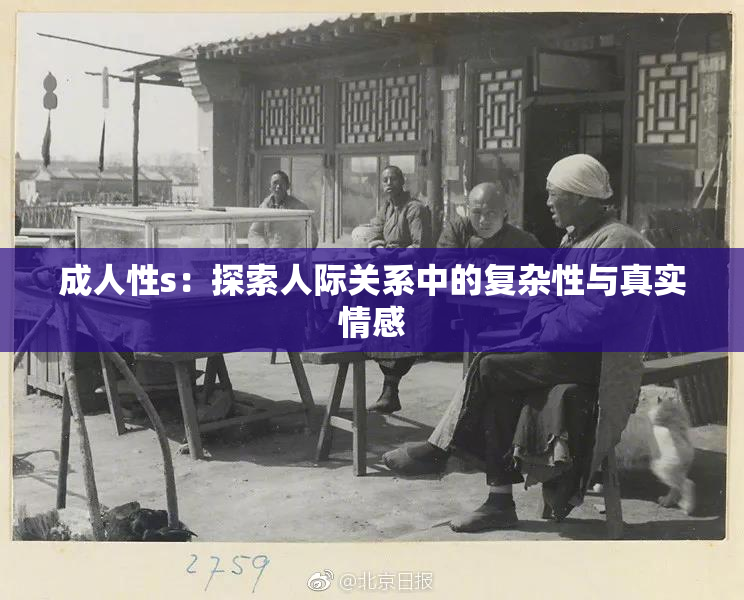 成人性s：探索人际关系中的复杂性与真实情感