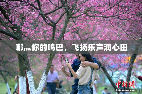 哪灬你的鸣巴，飞扬乐声润心田
