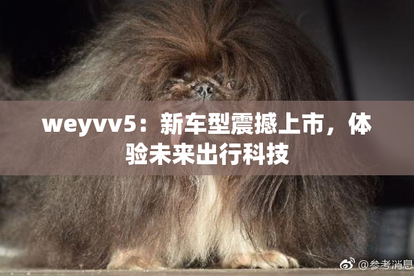 weyvv5：新车型震撼上市，体验未来出行科技