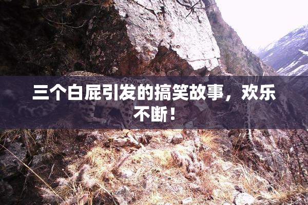 三个白屁引发的搞笑故事，欢乐不断！