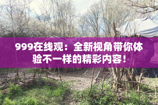 999在线观：全新视角带你体验不一样的精彩内容！