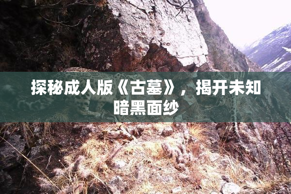 探秘成人版《古墓》，揭开未知暗黑面纱