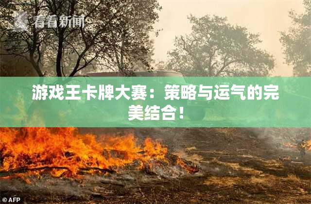 游戏王卡牌大赛：策略与运气的完美结合！