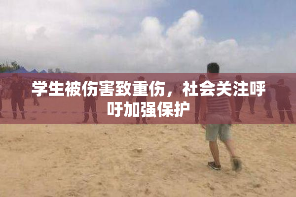 学生被伤害致重伤，社会关注呼吁加强保护