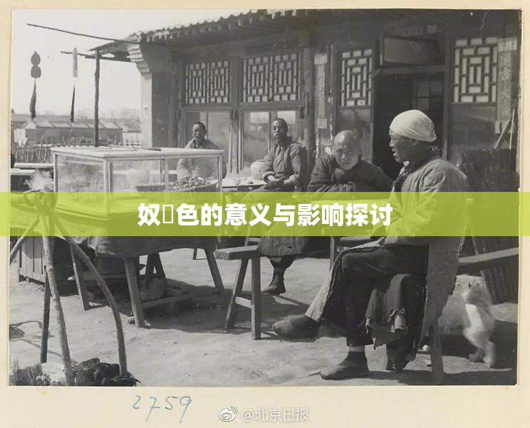 奴隷色的意义与影响探讨