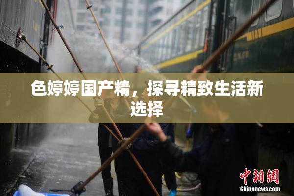色婷婷国产精，探寻精致生活新选择