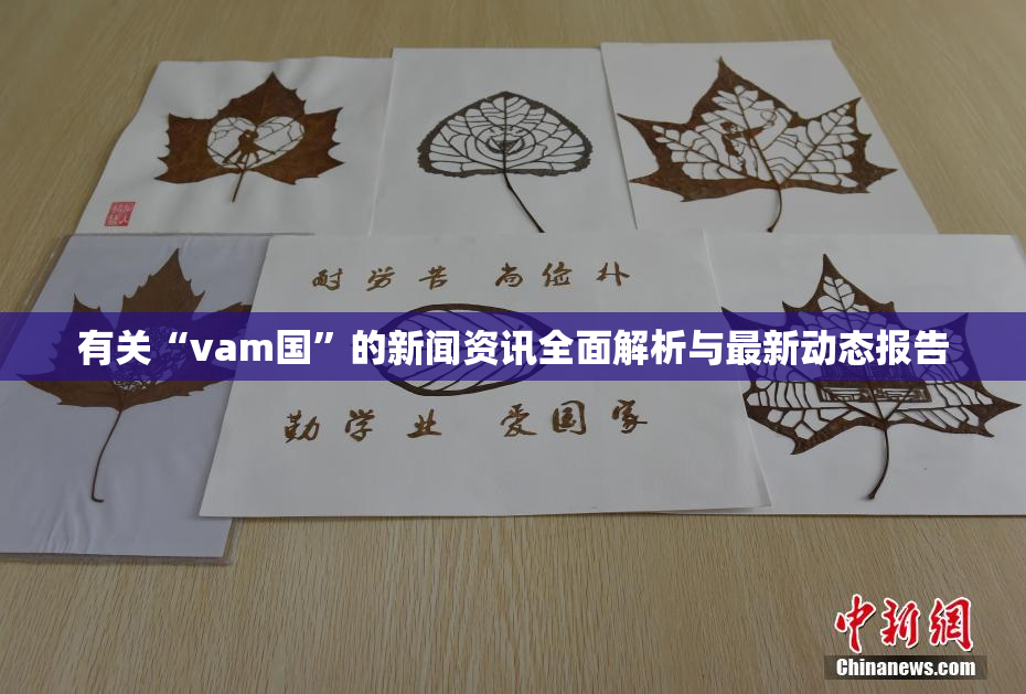 有关“vam国”的新闻资讯全面解析与最新动态报告