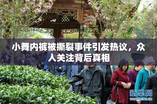 小舞内裤被撕裂事件引发热议，众人关注背后真相