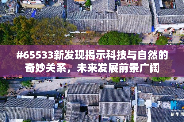 #65533新发现揭示科技与自然的奇妙关系，未来发展前景广阔