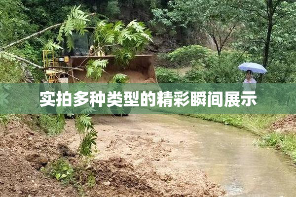 实拍多种类型的精彩瞬间展示