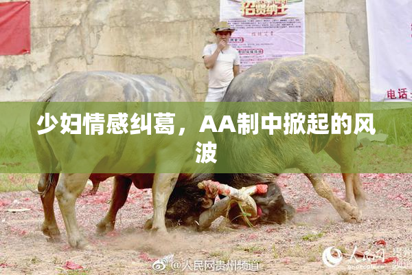 少妇情感纠葛，AA制中掀起的风波