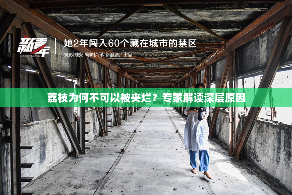 荔枝为何不可以被夹烂？专家解读深层原因