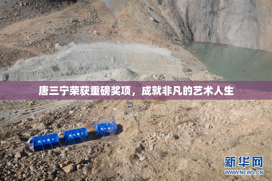 唐三宁荣获重磅奖项，成就非凡的艺术人生