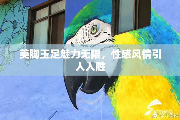 美脚玉足魅力无限，性感风情引人入胜