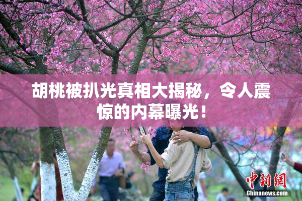 胡桃被扒光真相大揭秘，令人震惊的内幕曝光！