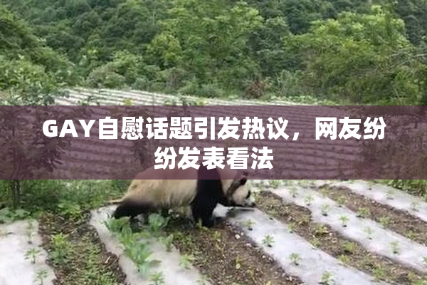 GAY自慰话题引发热议，网友纷纷发表看法
