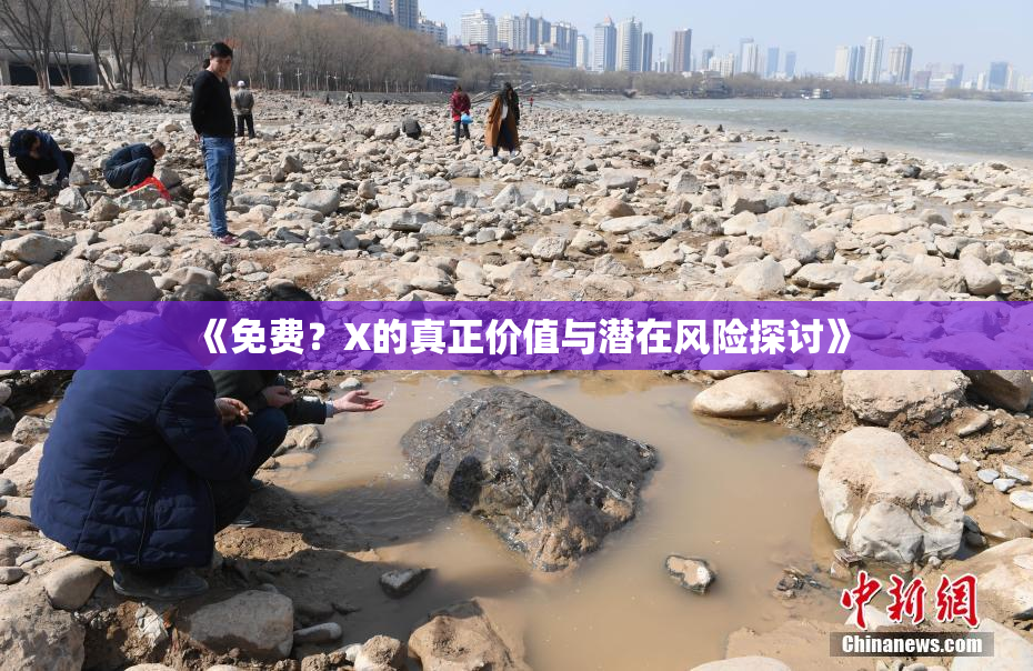 《免费？X的真正价值与潜在风险探讨》