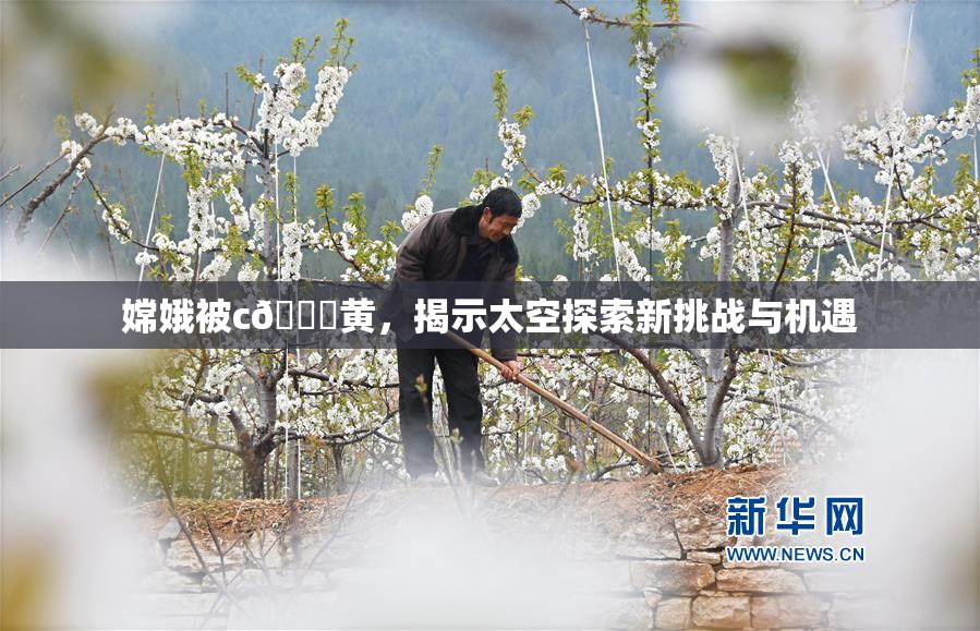 嫦娥被c🔞黄，揭示太空探索新挑战与机遇
