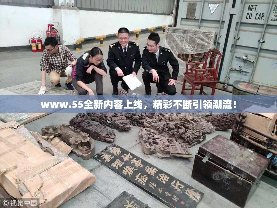 www.55全新内容上线，精彩不断引领潮流！