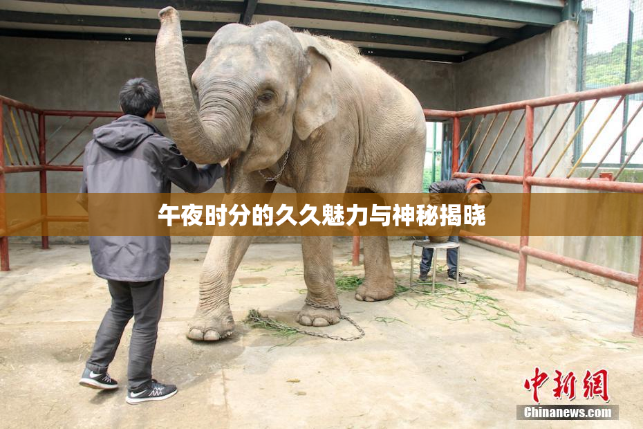 午夜时分的久久魅力与神秘揭晓
