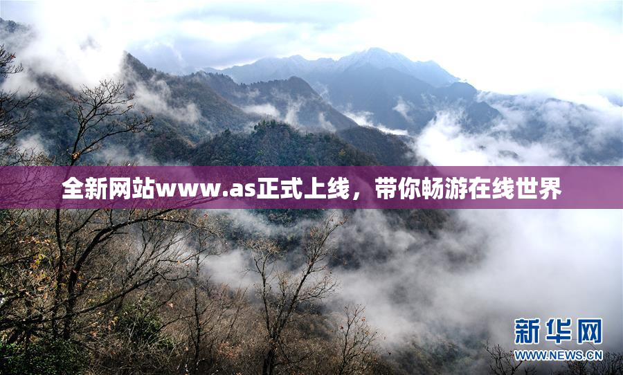 全新网站www.as正式上线，带你畅游在线世界