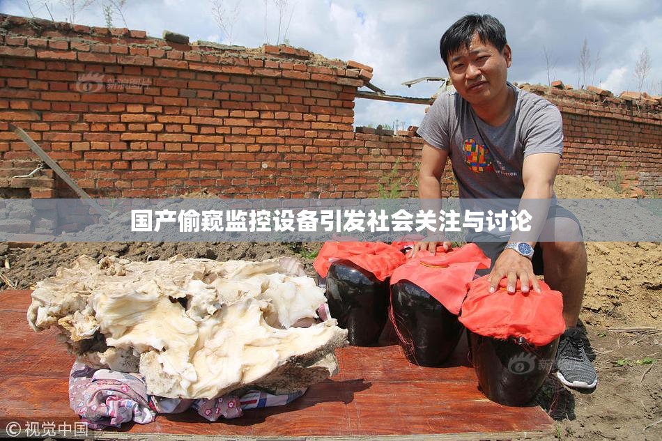 国产偷窥监控设备引发社会关注与讨论