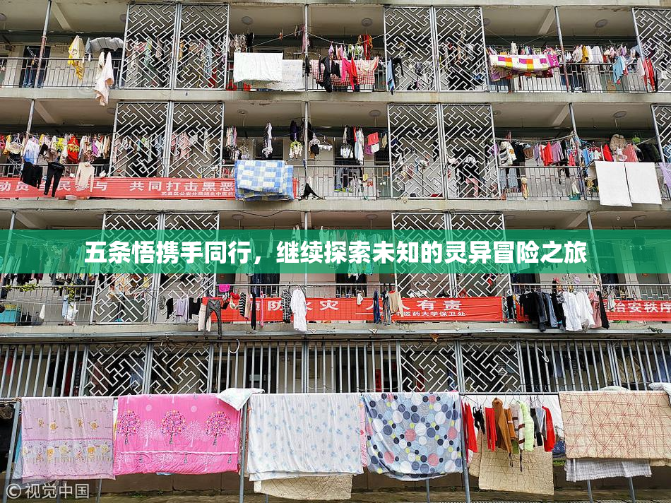 五条悟携手同行，继续探索未知的灵异冒险之旅