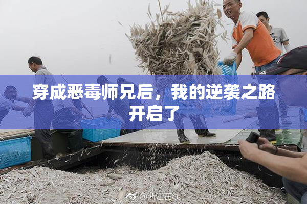 穿成恶毒师兄后，我的逆袭之路开启了