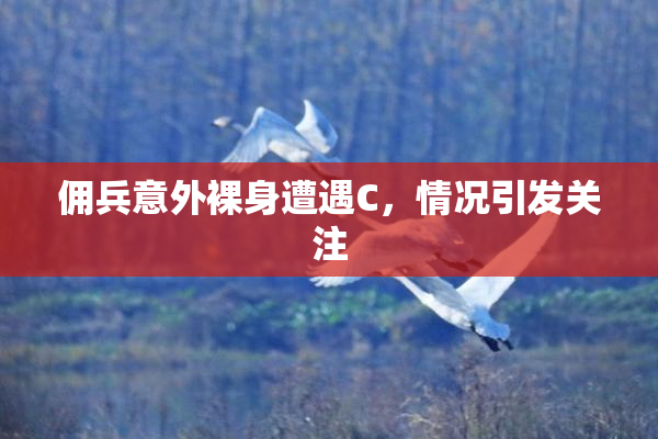佣兵意外裸身遭遇C，情况引发关注