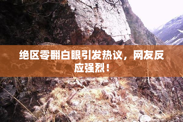 绝区零翻白眼引发热议，网友反应强烈！