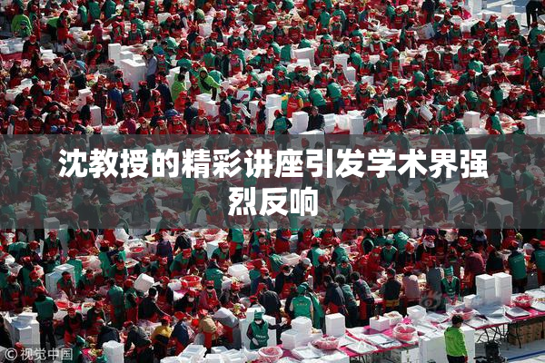 沈教授的精彩讲座引发学术界强烈反响