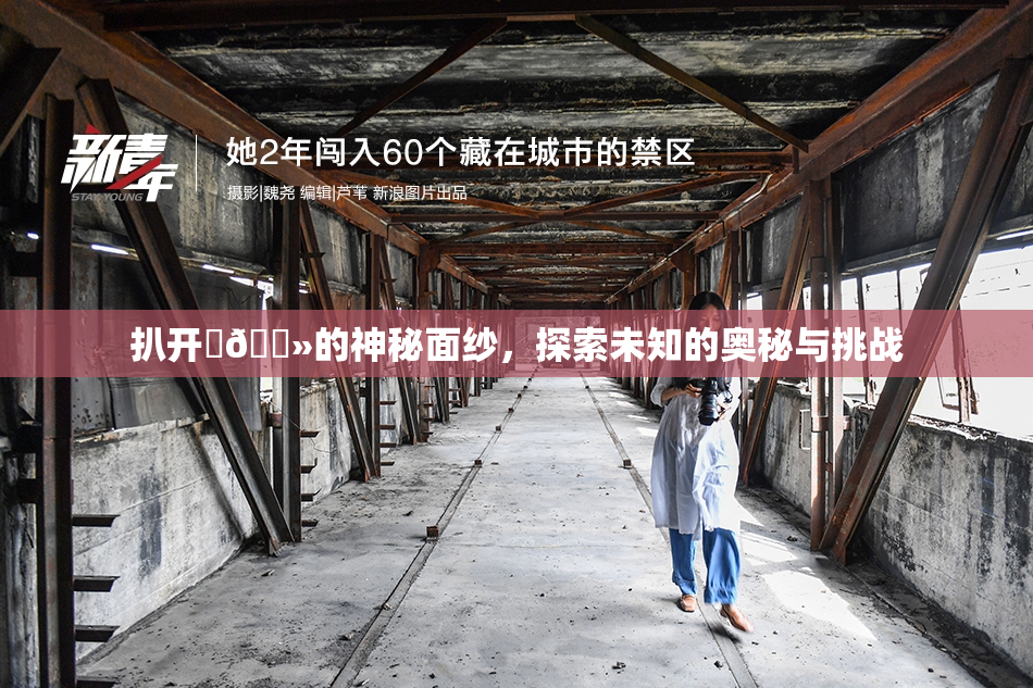 扒开‌🐻的神秘面纱，探索未知的奥秘与挑战