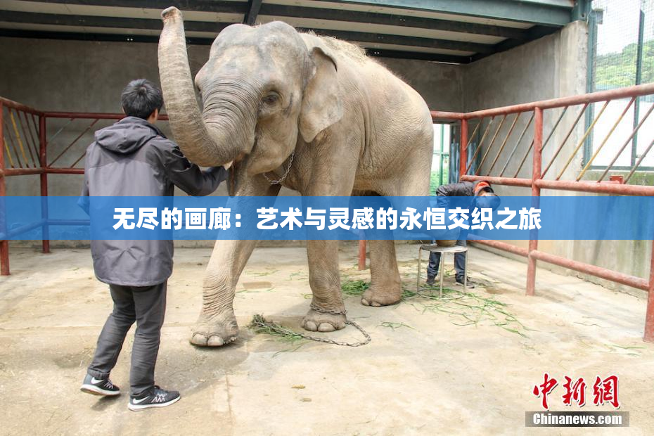 无尽的画廊：艺术与灵感的永恒交织之旅