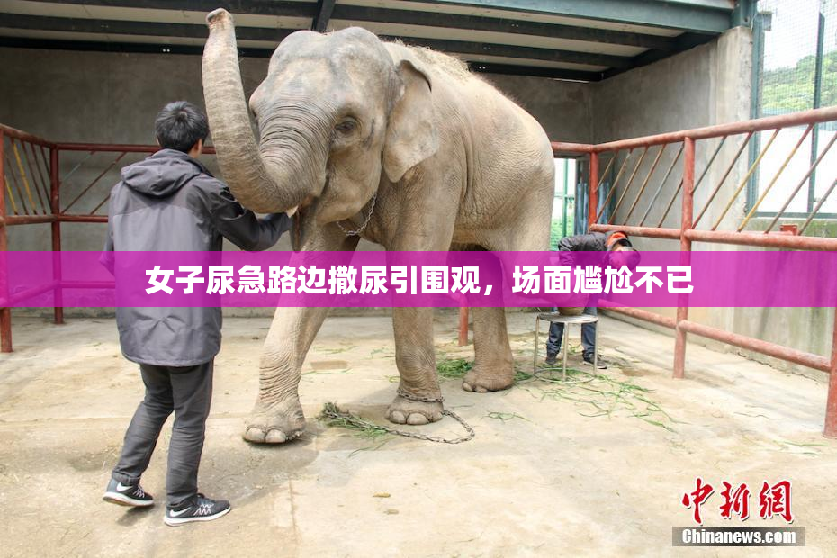 女子尿急路边撒尿引围观，场面尴尬不已