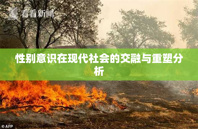 性别意识在现代社会的交融与重塑分析