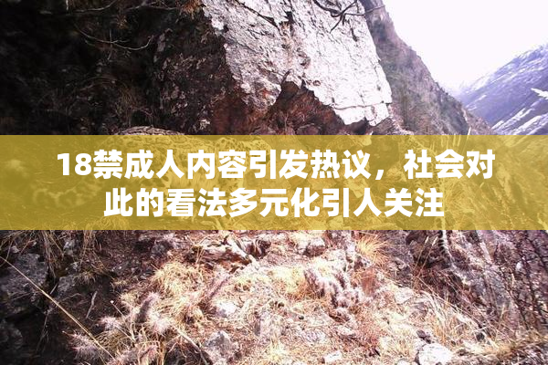 18禁成人内容引发热议，社会对此的看法多元化引人关注