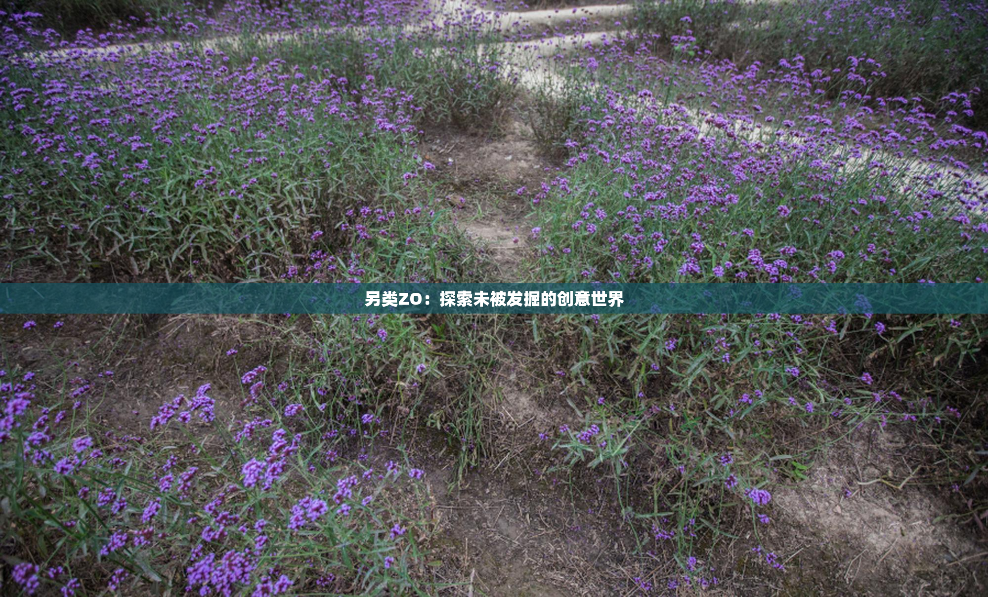 另类ZO：探索未被发掘的创意世界