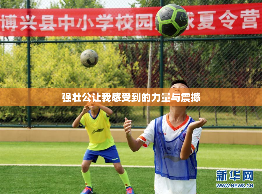 强壮公让我感受到的力量与震撼